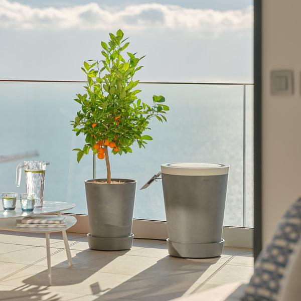 Productafbeelding Boum Starter Set (32 cm)