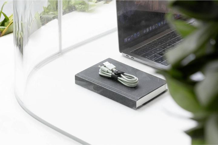 Image du produit Native Union Câble Belt USB-A vers Lightning 1.2m Sage (1.20 m)