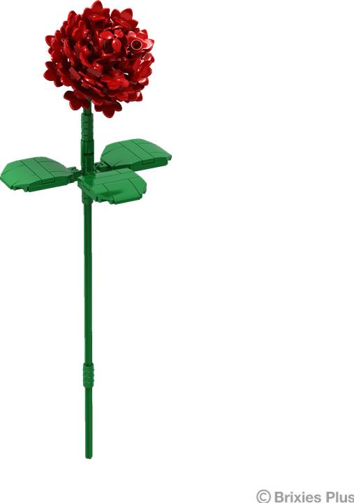 Actual product image Brixies Plus Rose rot