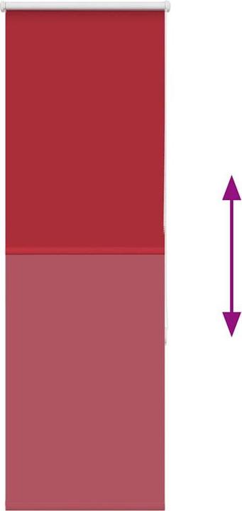 Actual product image vidaXL Verdunkelungsrollo (60 x 130 cm)