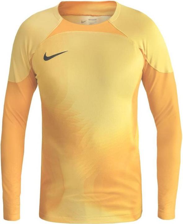 Actual product image Nike Mens Jersey M Nk Dfadv Gardien Iv Gk Jsyls, Tour Yellow/University Gold/Black, DH7967-719, 2XL (XXL)