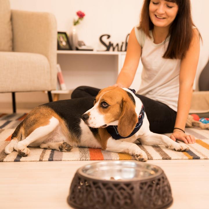 Image du produit Relaxdays Horloge murale (22.50 cm)