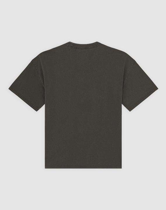 Produktbild Dickies Plainville Ss Tee (M)