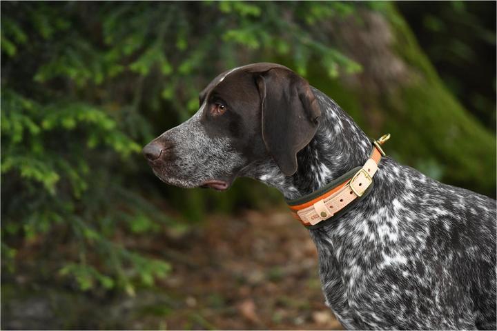 Immagine prodotto Niggeloh Collo di saldatura (XS, Cane, Lavoro)