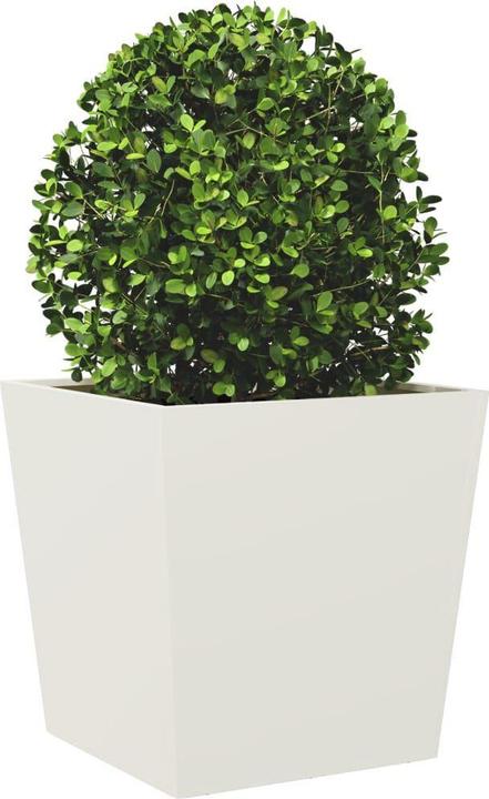 Produktbild vidaXL Pflanzkübel
