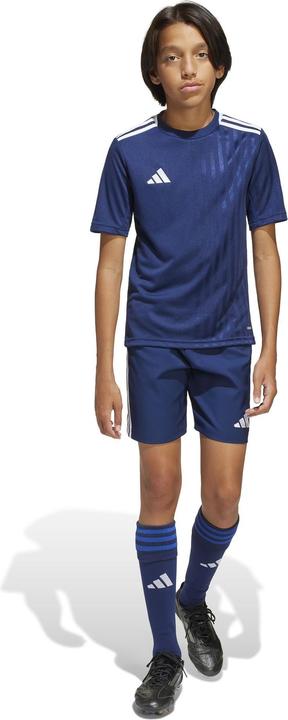 Produktbild adidas Campeon 25 Trikot Kids (164)