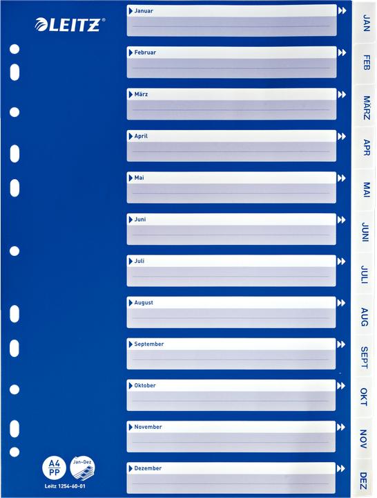 Actual product image Leitz Plastic register