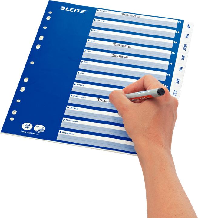 Actual product image Leitz Plastic register