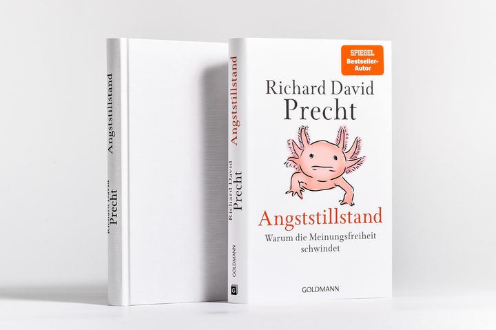 Actual product image Angststillstand (German, Richard David Precht, 2025)
