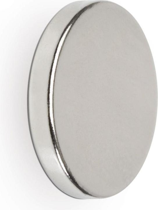 Actual product image Maul Neodymium disc magnet, 20 mm, adhesive force: 4.2 kg, silver (4 x)
