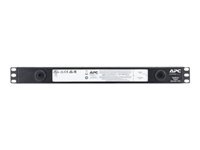 Immagine prodotto APC Monitor da rack NetBotz 250