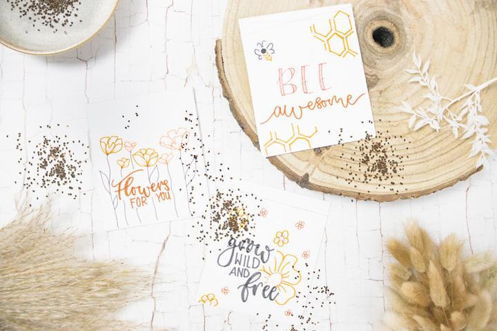 Produktbild Staedtler Triplus Johanna Basford Edition (Mehrfarbig, 36 x)