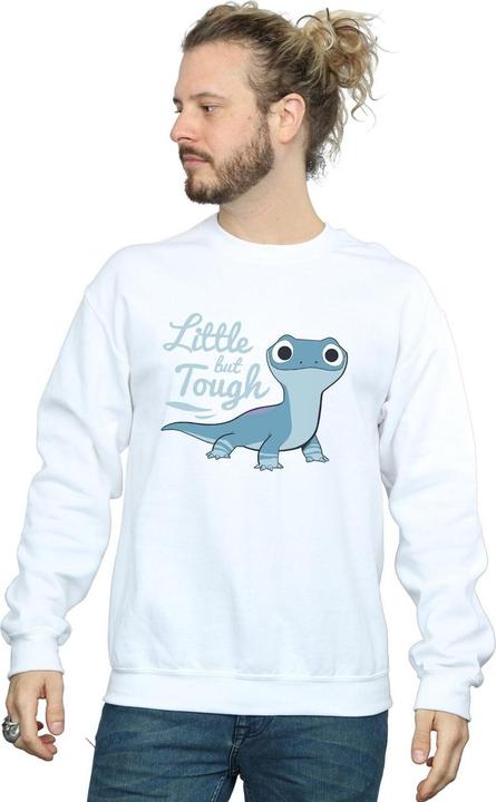 Produktbild Disney Frozen 2 Salamander Bruni Tough Sweatshirt (5XL)