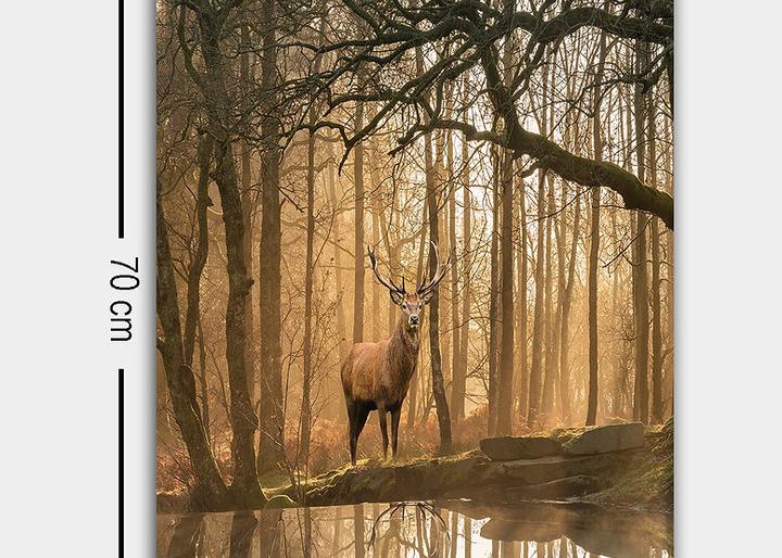 Produktbild Wallxpert Jade (50 x 70 cm)