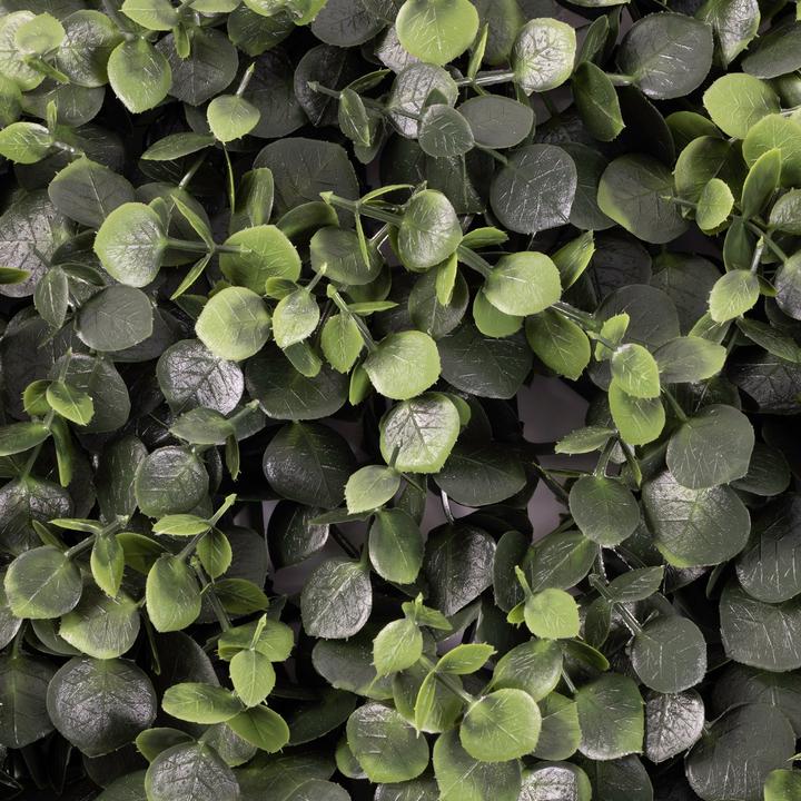 Immagine prodotto Karat Eucalyptus (7 cm)