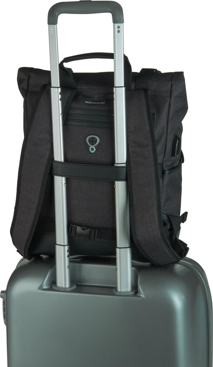 Actual product image Picard Backpack Speed (16 l)