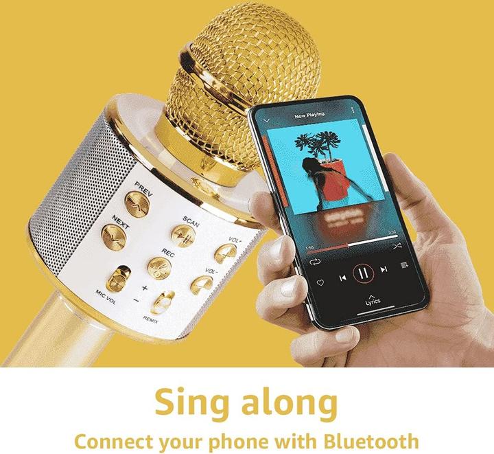 Produktbild Max Music Karaoke Mikrofone