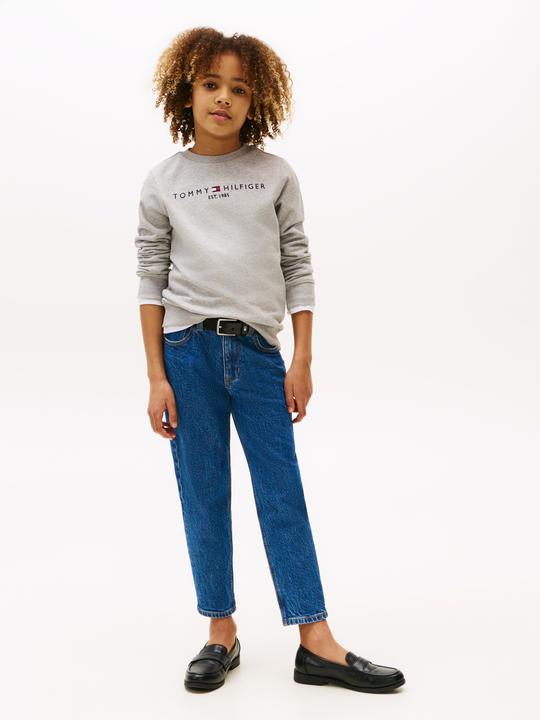 Produktbild Tommy Hilfiger Essential Sweatshirt (92)