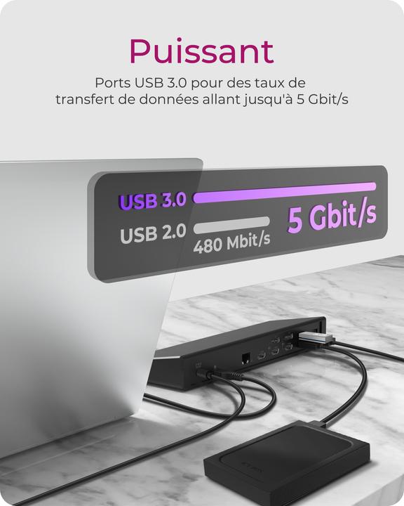 Actual product image Icy Box Docking station notebook USB-C -> 3x video output 60H (USB-C, 14 Ports)