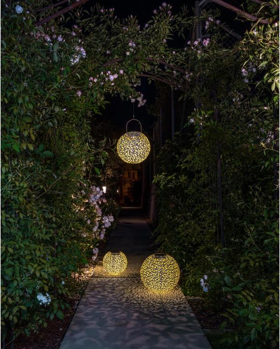 Image du produit STT Antic