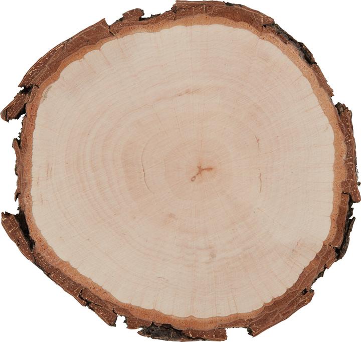 Actual product image Legna Creativa Raw wood rondels