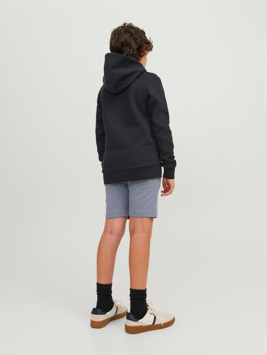 Image du produit Jack & Jones Sweat à capuche garçon (152)