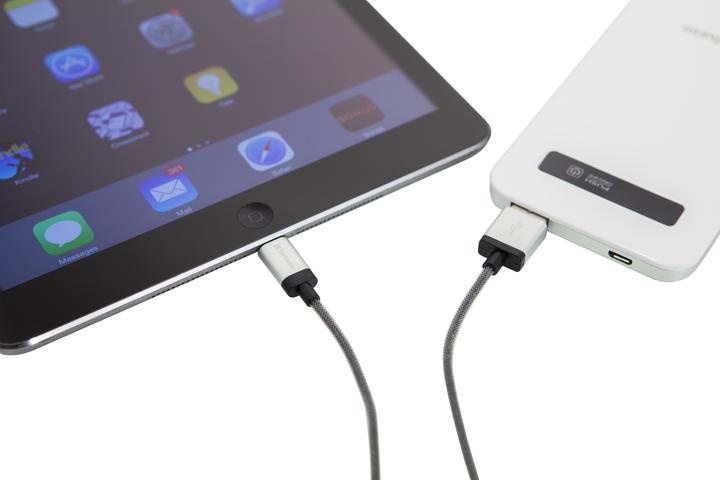 Image du produit Verbatim LightningCable Slver 30CM iPad (0.30 m, USB 2.0)