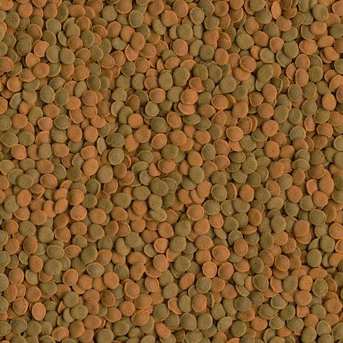 Actual product image Tetra Wafer Mix 1l (Bottom-dwelling fish, 1000 ml)