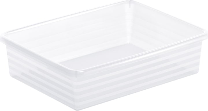 19.5 x 6 x 25.5 cm