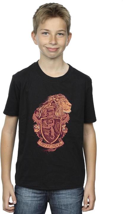 Immagine prodotto Gryffindor Sketch Crest Maglietta Ragazzi (104)