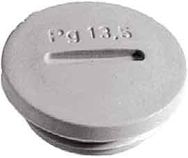 Actual product image Lapp Screw plug PG21 Polyst