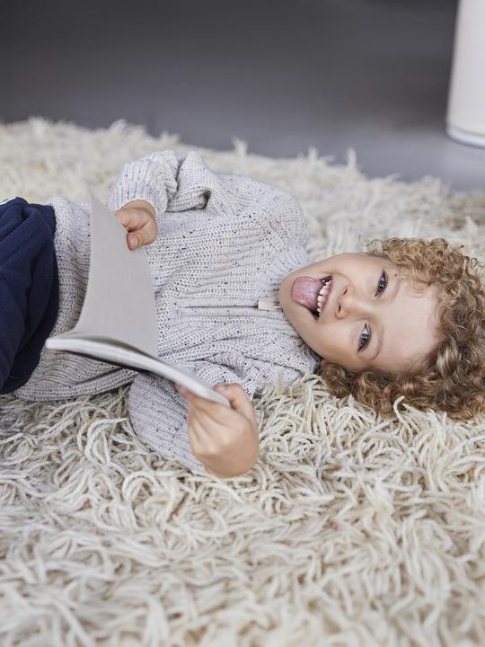 Produktbild Vertbaudet Jungen Troyer-Pullover (110)