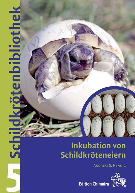 Produktbild Inkubation von Schildkröteneiern (Deutsch, Andreas S. Hennig, 2020)