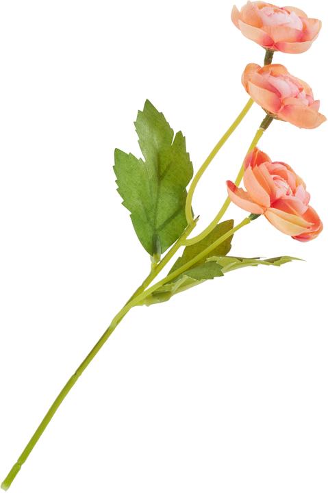 Immagine prodotto DPI Ranunkel-Pick mit 3 Blüten