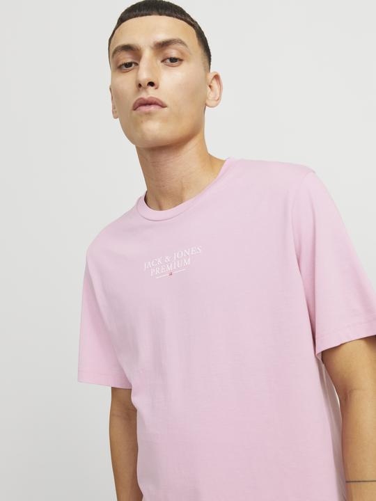 Produktbild Jack & Jones Jprbluarchie Ss Tee Crew Neck Noos (XXL)