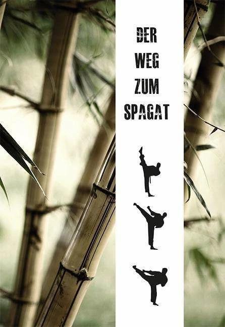 Produktbild Der Weg zum Spagat (Deutsch, Artjom Maier, 2015)