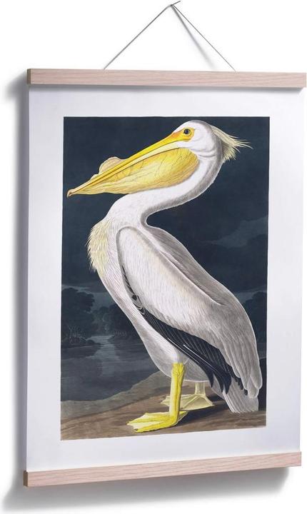 Produktbild Trenddeko Pelikan (40 x 50 cm)