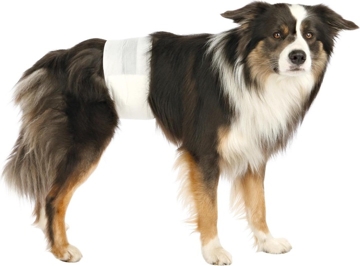 Immagine prodotto Trixie Pannolini maschili (Cane)