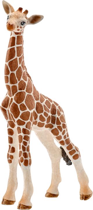 Schleich Baby giraffe