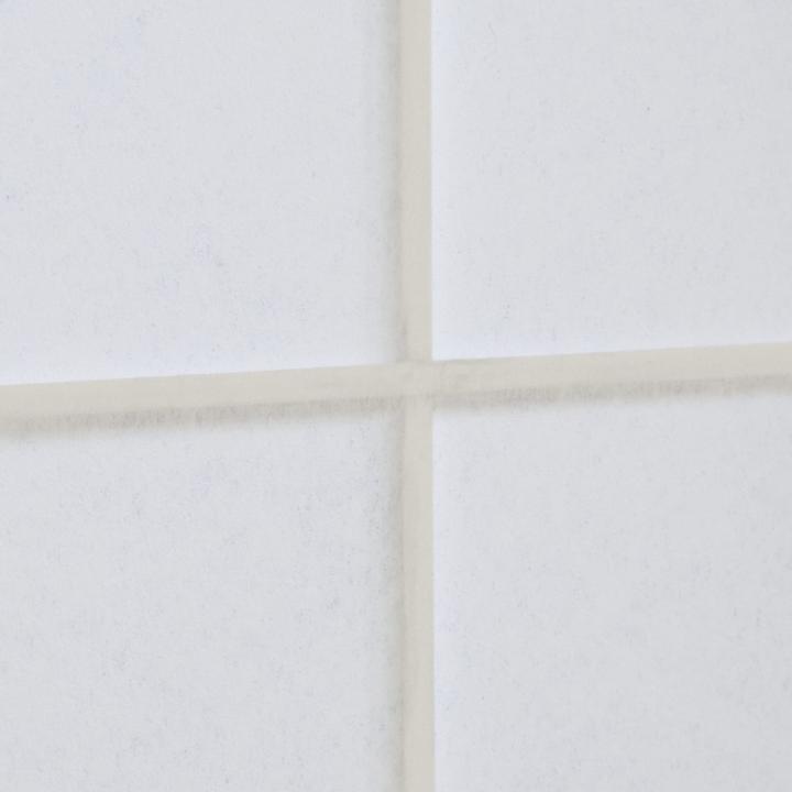 Actual product image Jamb Shoji