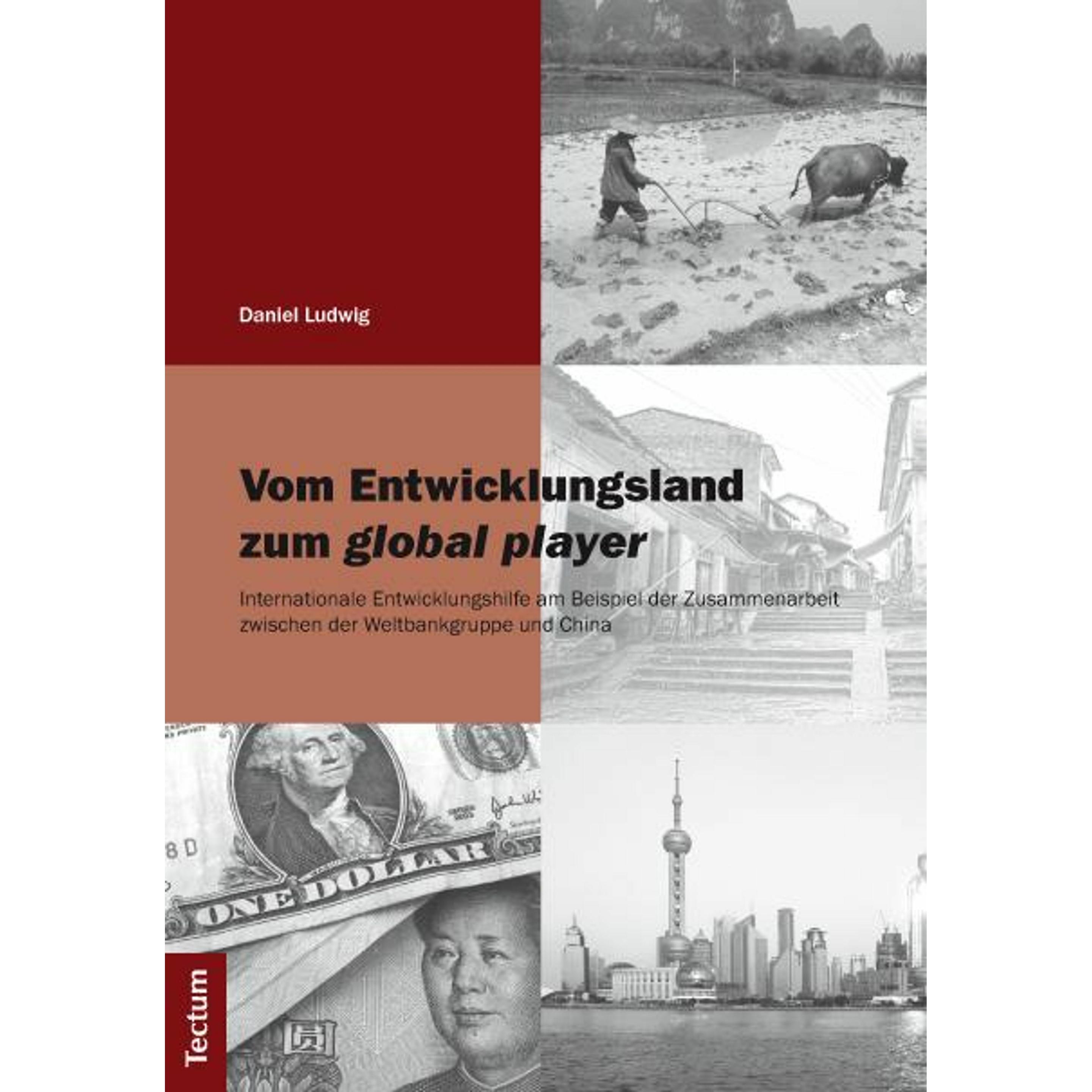 Vom Entwicklungsland zum global player, Fachbücher von Daniel Ludwig