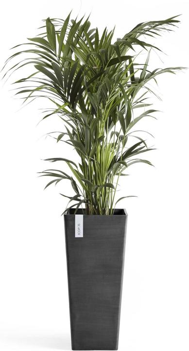 Produktbild Ecopots Rotterdam High (32 cm)