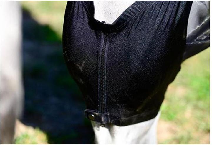 Produktbild Kentucky Horsewear Fliegenmaske Slim Fit