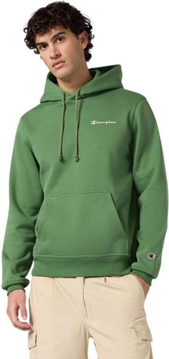 Actual product image Champion Hooded Sweatshirt (L)