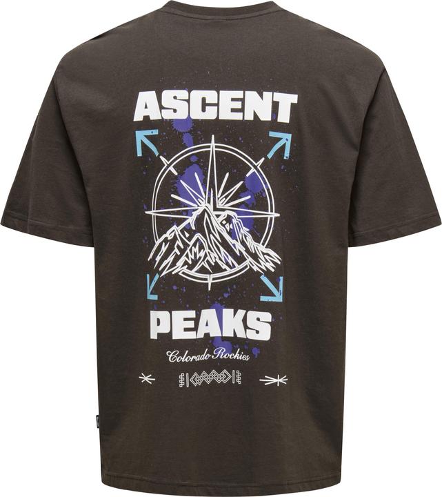 Produktbild Only & Sons Onskeane Rlx Ss Print Tee Noos (XS)