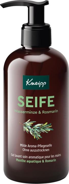 Wasserminze