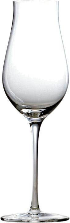 Image du produit Stölzle Verres à Porto soufflés à la bouche Q1 (18 cl, 6 Verres, Verres à vin rouge)