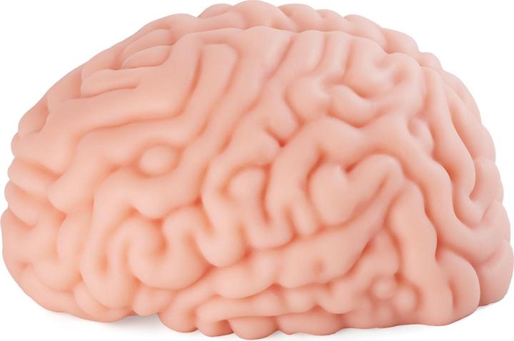 Actual product image Seiraku Toys Brain Hacker