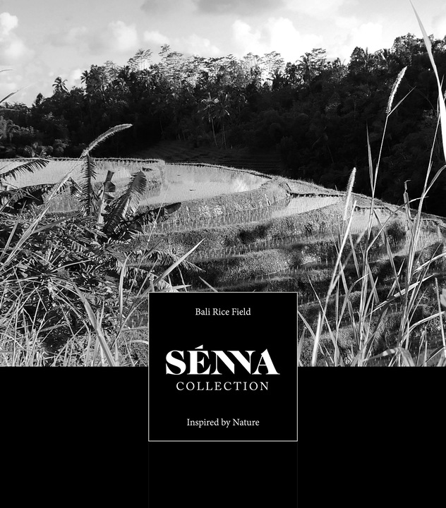 Actual product image Sénna Rice Field (500 ml)