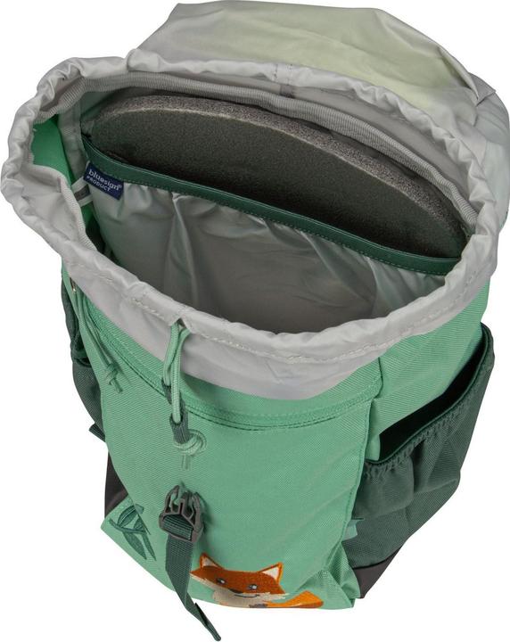 Actual product image Deuter Forest Fox 10 (10 l)